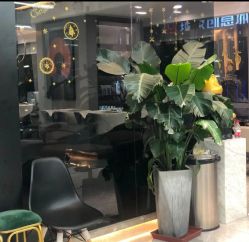 -V+SALON造型