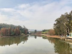 -华南国家植物园-售票处