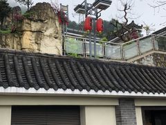 -老幺泉水鸡