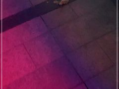 -佳乐家(新华店)