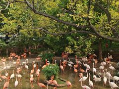 -大连森林动物园