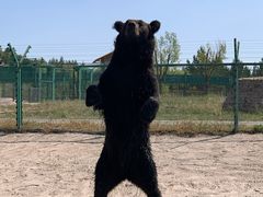 -鄂尔多斯野生动物园