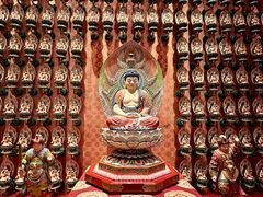 -新加坡佛牙寺龙华院