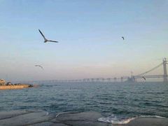 android_upload_pic-黑石礁公园