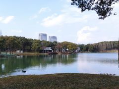 -新洲生态园