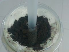 OREO玄米抹茶芝士-大卡司DAKASI(番禺奥园店)