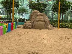 -南宫五洲植物乐园