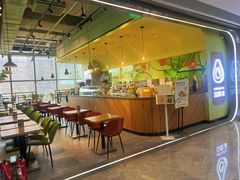 -油梨树AVOCADO TREE(望京店)