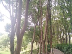 -美兰湖景区