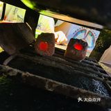 1折一锅肉蟹煲，真的不得了