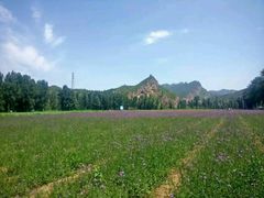 -乌龙峡谷景区