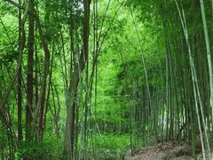 -南京市无想山景区