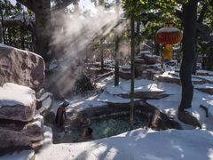 -鞍山岫岩沟汤温泉