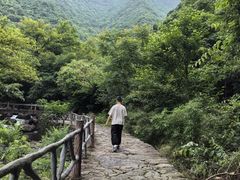 -白云源风景区