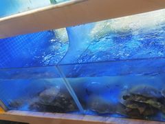 -王捌小院(红花坡店)