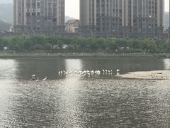 -龙江公园