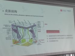 -安吉拉青春化管理中心