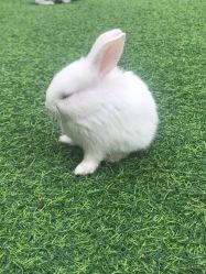 -萌宠亲子动物乐园(槐房万达店)