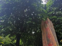 -白云山风景名胜区