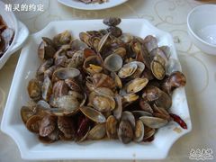 辣炒蛤蜊-海岛渔村大酒店(云霄路店)