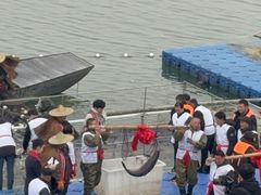 -南京金牛湖风景区