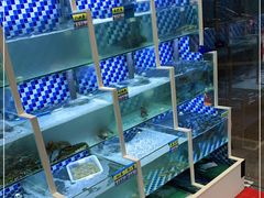 -蔚海之都·象山蒸汽海鲜(仙霞路店)