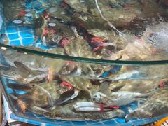 -蓝珊甄选海鲜自助·火锅大排档(近阿那亚店)