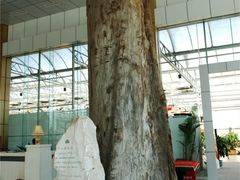 -龙凤山庄(永定镇店)