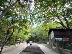 -灵岩山风景区