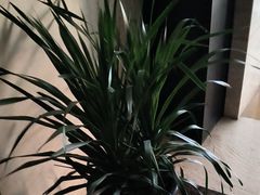 -洛阳宴·洛阳菜(南昌路店)