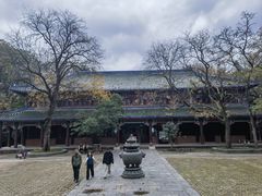 -灵谷景区