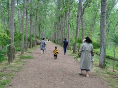 -合肥滨湖国家森林公园