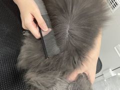 -爱洗澡的猫(天河路店)