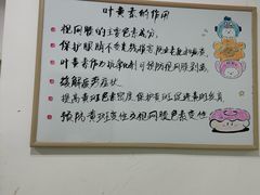 -佑贝儿科(西大街店)