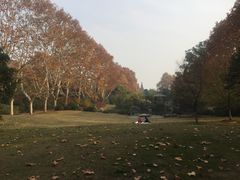 -习家池