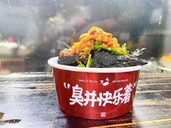 -黑色经典臭豆腐·湖南特产(坡子街店)