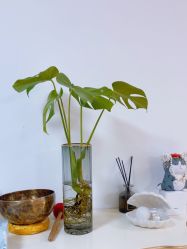 -美肤盾祛痘·问题肌头疗管理中心