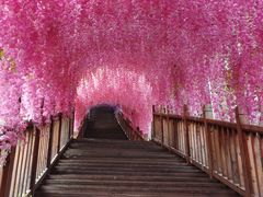 -沕沕水生态风景区