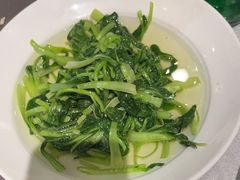 -宋园·金宴浙鲜馆(静安店)