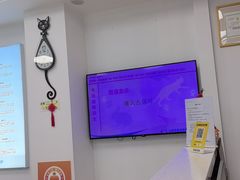 -北京观赏动物医院·24小时大型综合·猫专科·异宠专科