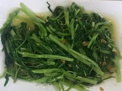 蒜蓉炒通菜-肥信潮菜(科新路店)