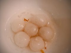 桂花小丸子-小南国(金沙江路店)