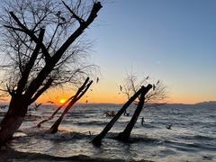 -捞渔河湿地公园