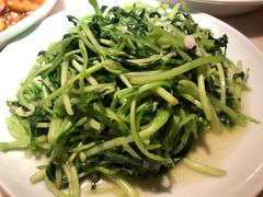 蒜泥鸡毛菜-日丰园海肠水饺·老字号大连海鲜(和平广场店)