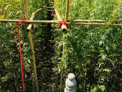-汤阴县羑里周易博物馆