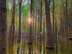 -捞渔河湿地公园