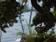 -苏淮景·苏闽融创菜·海鲜(原空港井河轩店)