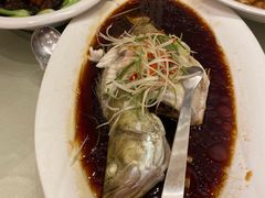 -都喜天丽富都青枫苑酒店-青枫小筑