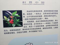 -北京华联合肥长江西路购物中心