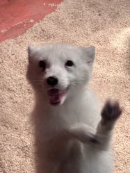 -Zoolung Zoolung动物主题公园(海信广场店)